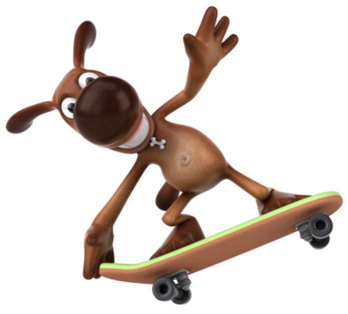 Chien en skateboard