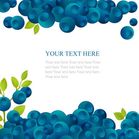 Fresh blueberry with green leafs on white background