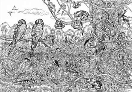 پسری 11 ساله با استعدادی شگفت انگیز