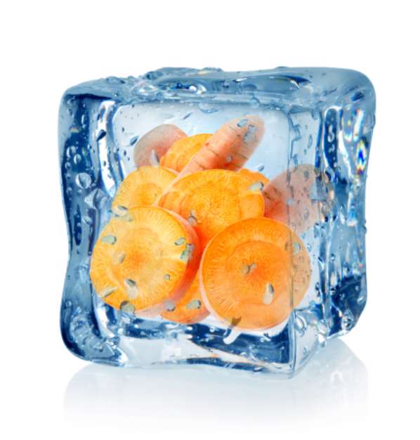 Ice cube and carrot