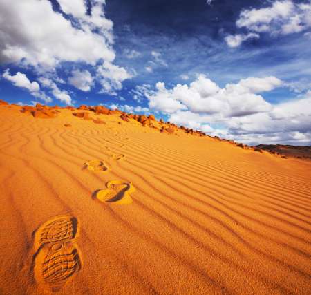 Desert