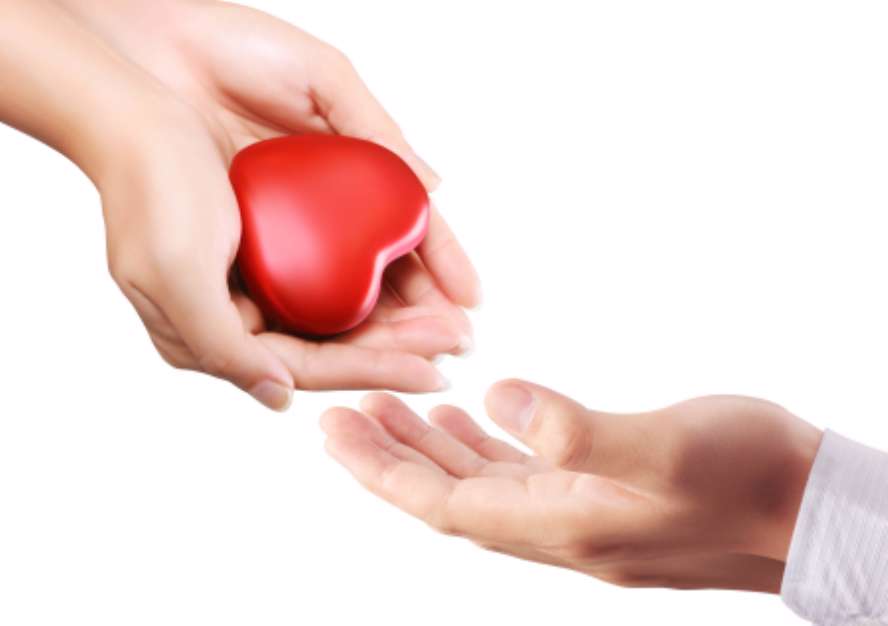 Heart in the hands