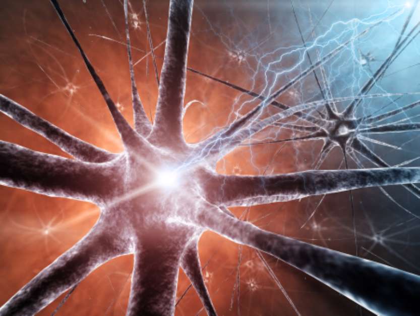 Neural network , detailed illustration