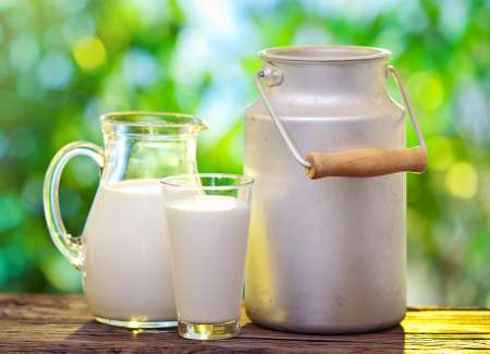 Milk in various dishes.