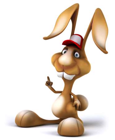 Fun rabbit