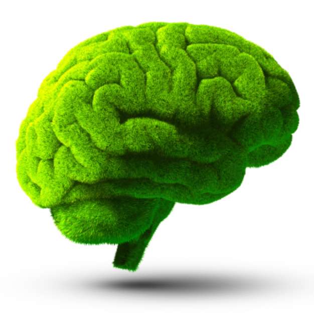 Green brain