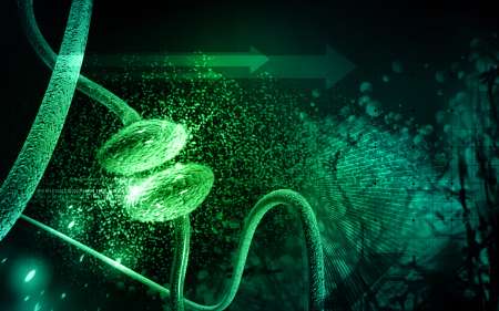 Synapse