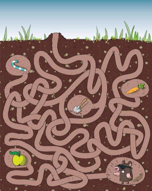 Mole Maze Game ... with solution in hidden layer