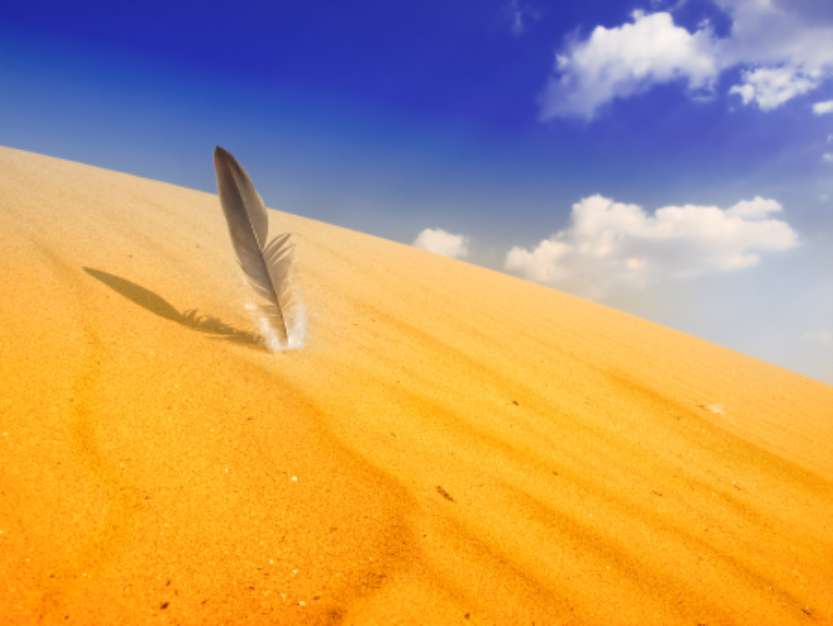 sand desert landscape