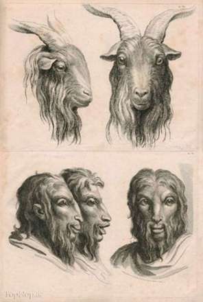 چهره سازی انسان بر اساس حیوانات