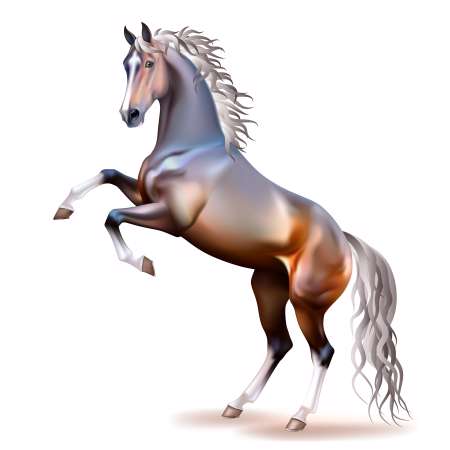 Vector photo-realistic bay horse rearing up isolated
