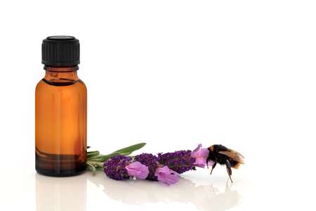 Lavender Herb Essence