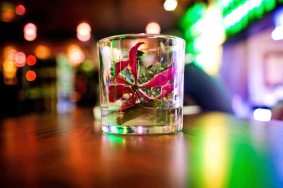 Flower in glass