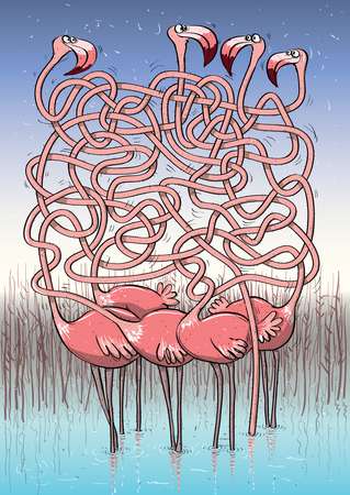 Five Flamingos Maze Game
