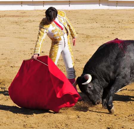 Matador &amp; Bull