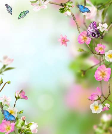Background nature
