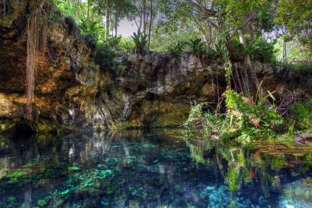 Cave jungle - Mexico