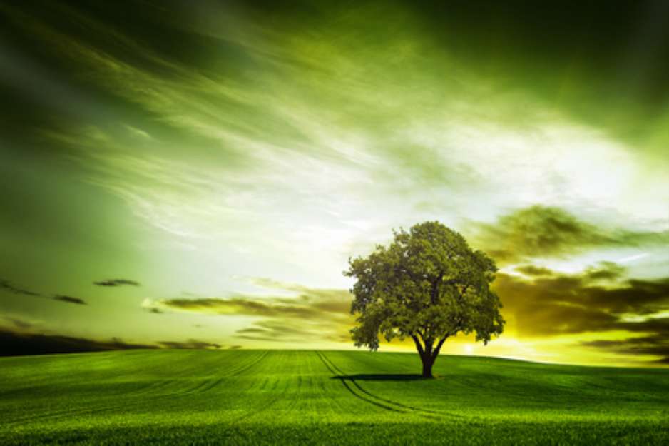 Green nature