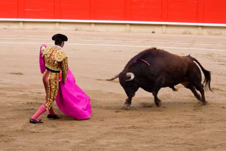 Bullfighting