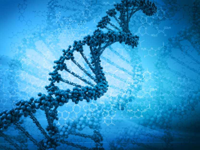 Digital illustration of a dna