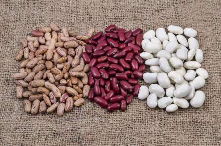 Different type of beans