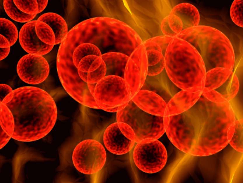 red cells