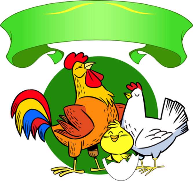 chickens