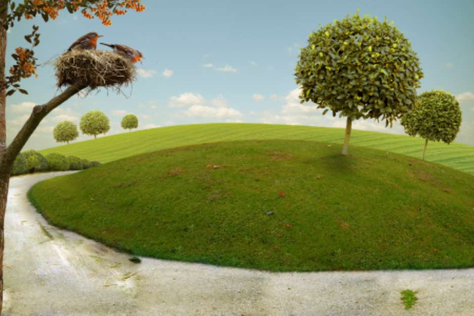 Nice Landscape