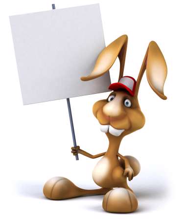 Fun rabbit