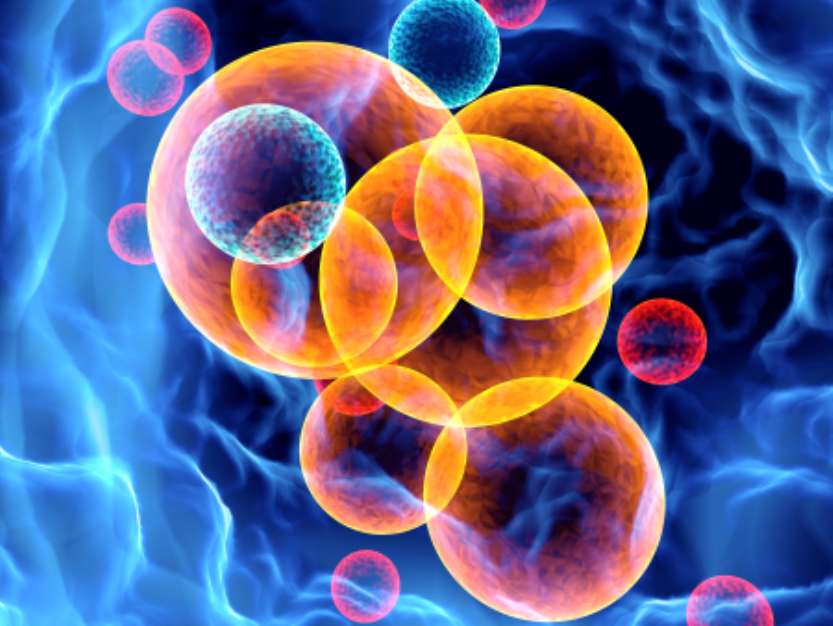 cell colors