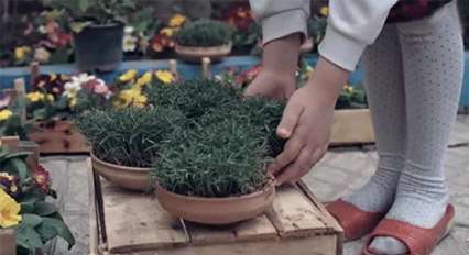 صابر خراسانی / عیدانه 