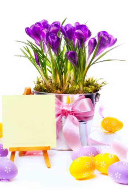 Colorful painted easter eggs and spring flowers