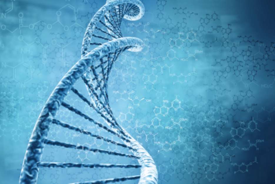 Digital illustration of  dna