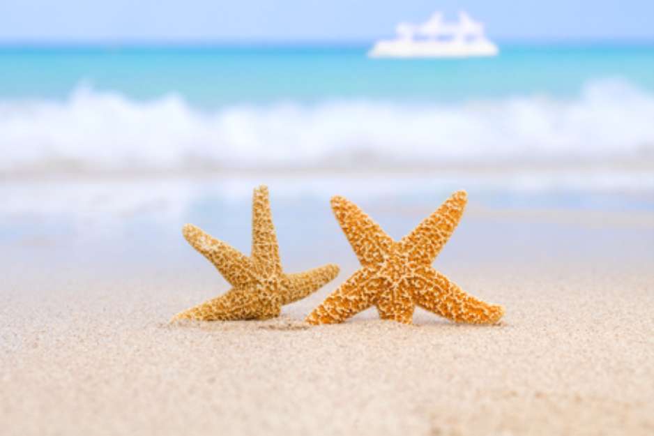 two starfish on beach, blue sea and white boat