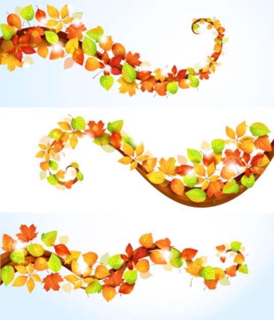Collection of autumn leaves.Vector