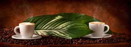 Caffأ¨ macchiato - Hot Coffee