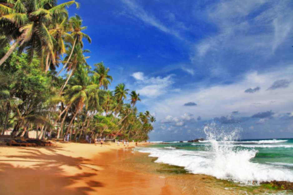 wild beautiful beaches of Sri lanka
