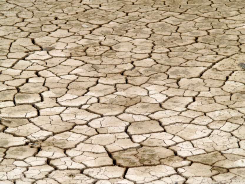 desert background