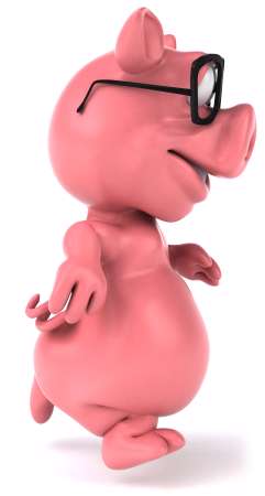 Fun pig