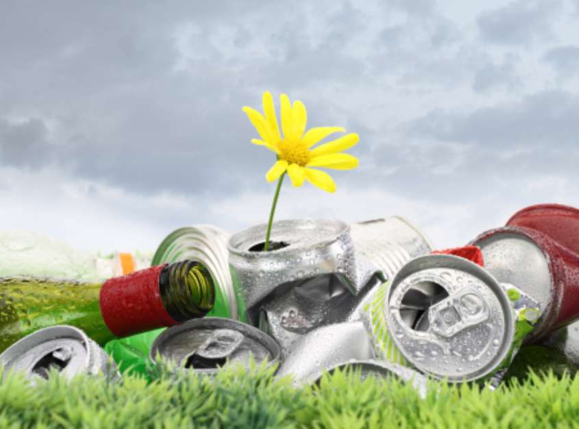 Garbage with growing daisy under storm clouds