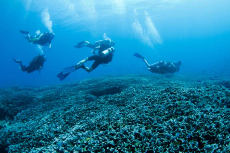 Group of divers