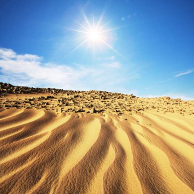 Desert