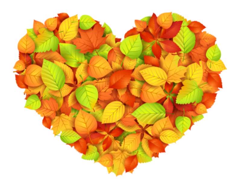 Big autumn heart. Vector