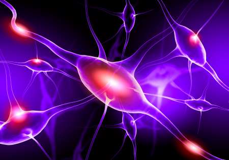 Illustration of a nerve cell