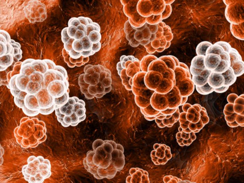 orange molecules