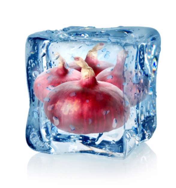 Ice cube and red onion