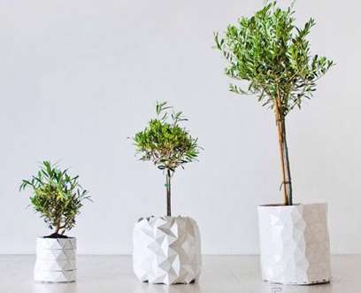 استفاده از «پوشک بچه» برای کمک به رشد گیاهان!