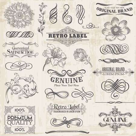 Vector Set: Calligraphic Design Elements and Page Decoration, Vi