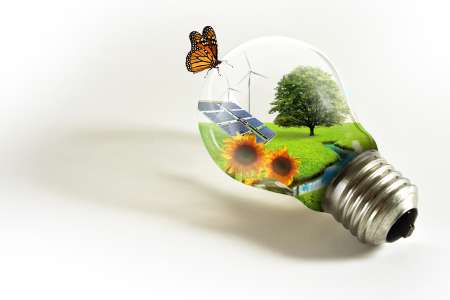 Lampadina con paesaggio ecology