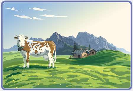 Mountain landscape with cow.